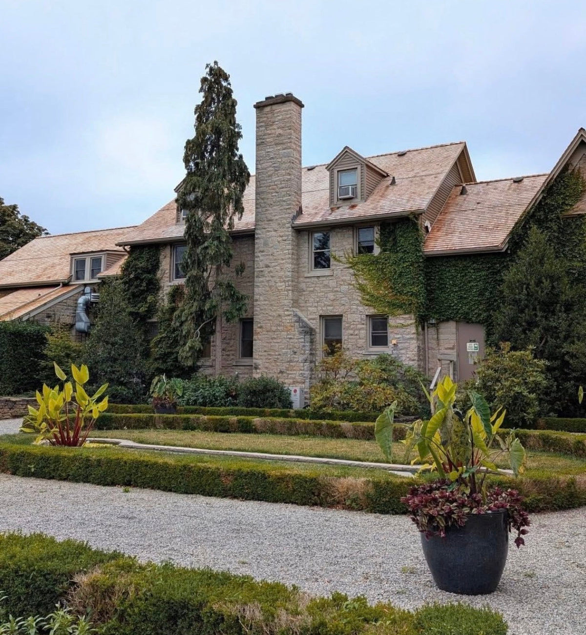 Why Canadian Cedar Shingles Are the Superior Choice