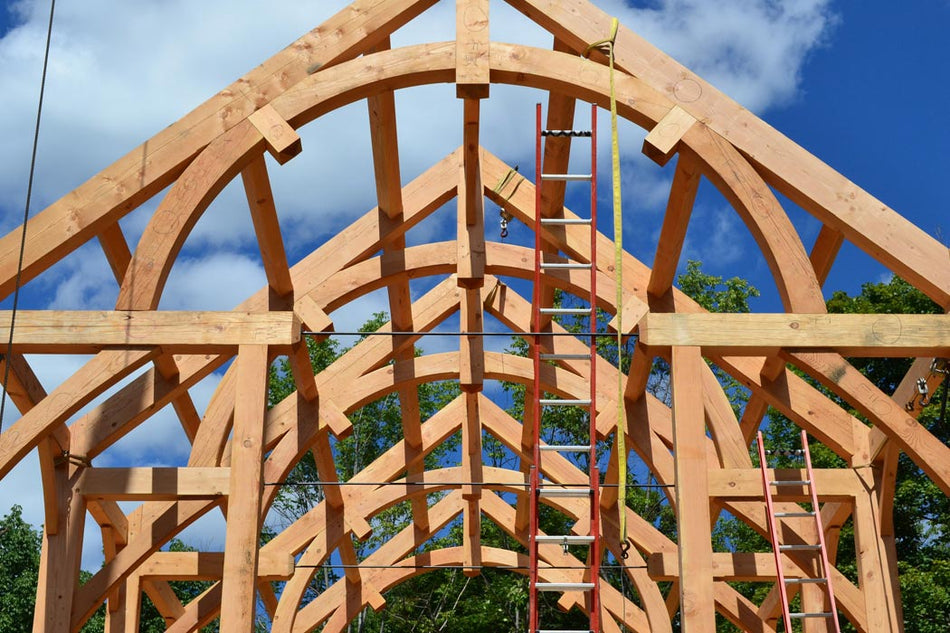 Douglas Fir